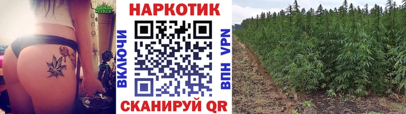 Купить закладку Конопля  Бутират  Кокаин  Гашиш  АМФ  Меф мяу мяу  APVP  Гурьевск