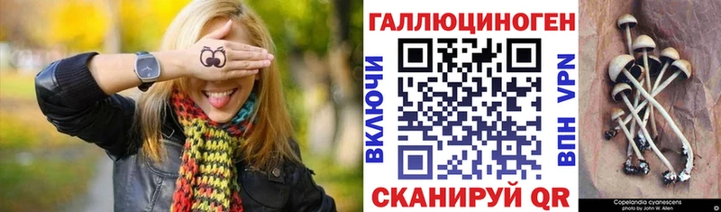 Купить где  Гурьевск  Псилоцибиновые грибы Magic Shrooms 